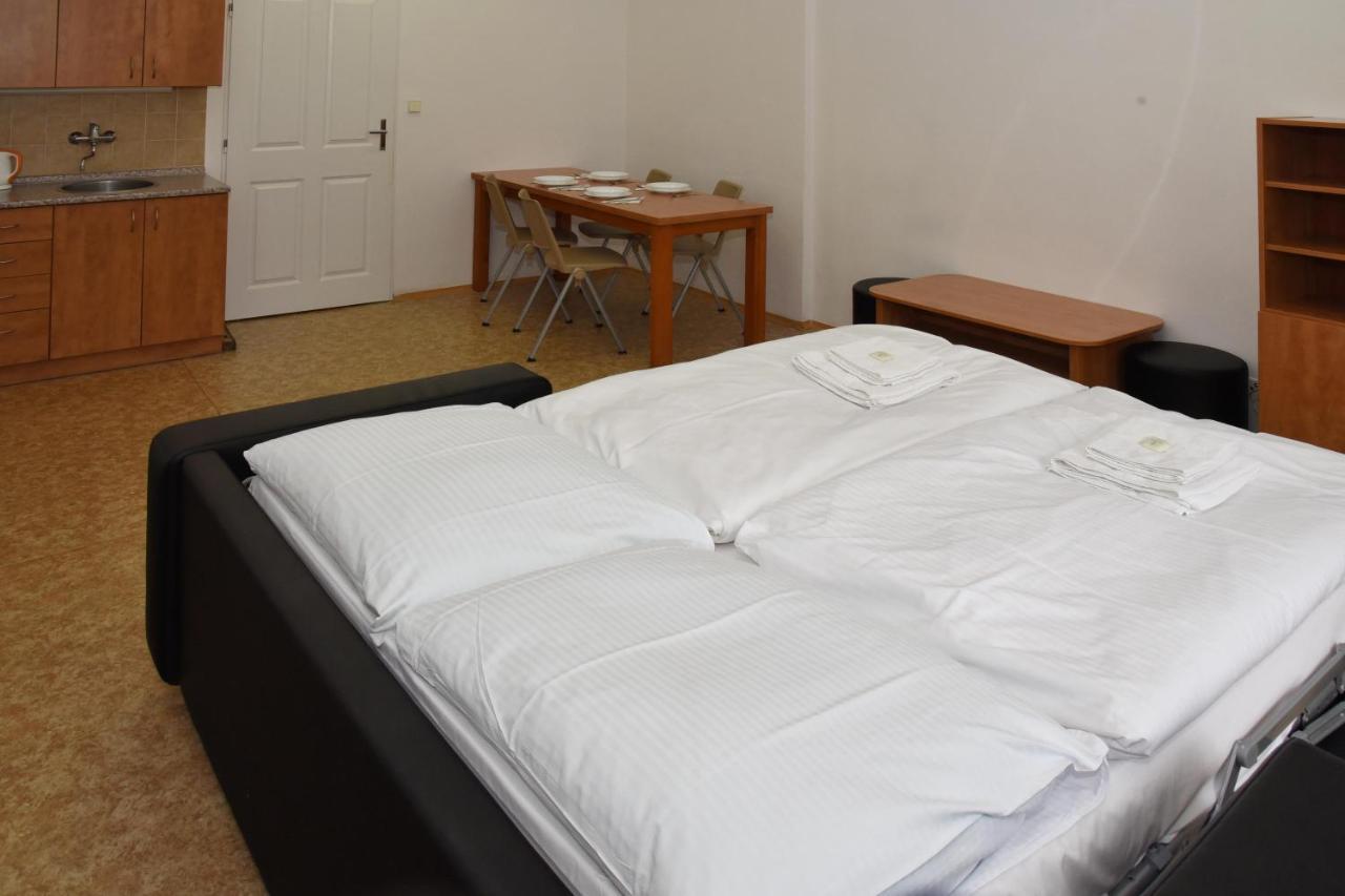 Zamek Racice Hotell Exteriör bild
